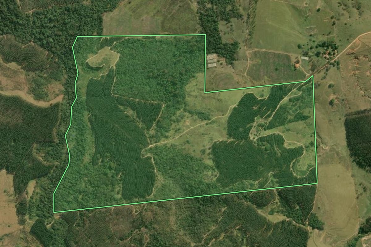 Imagem de satélite do imóvel rural em Alvinlândia (SP), com o contorno declarado no CAR desenhado por cima.