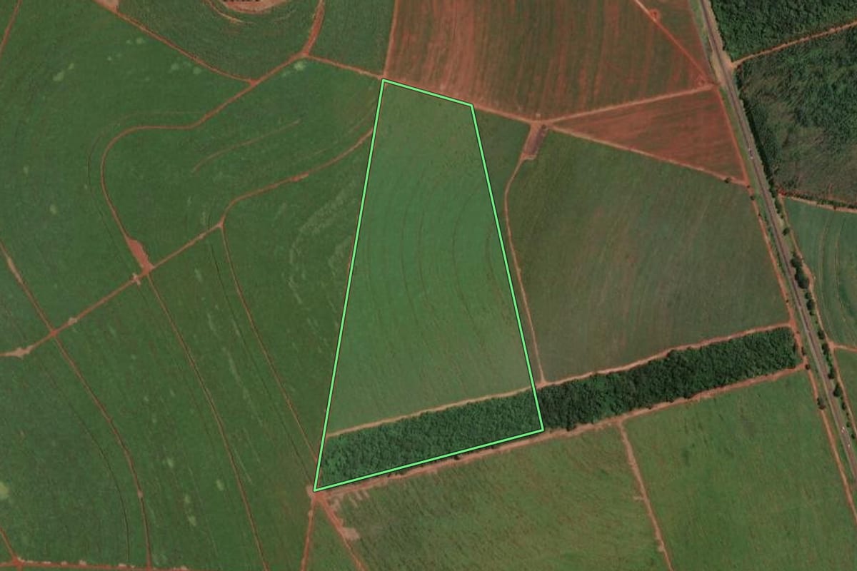 Imagem de satélite do imóvel rural em Américo Brasiliense (SP), com o contorno declarado no CAR desenhado por cima.