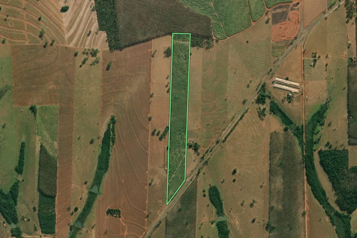 Imagem de satélite do imóvel rural em Américo de Campos (SP), com o contorno declarado no CAR desenhado por cima.