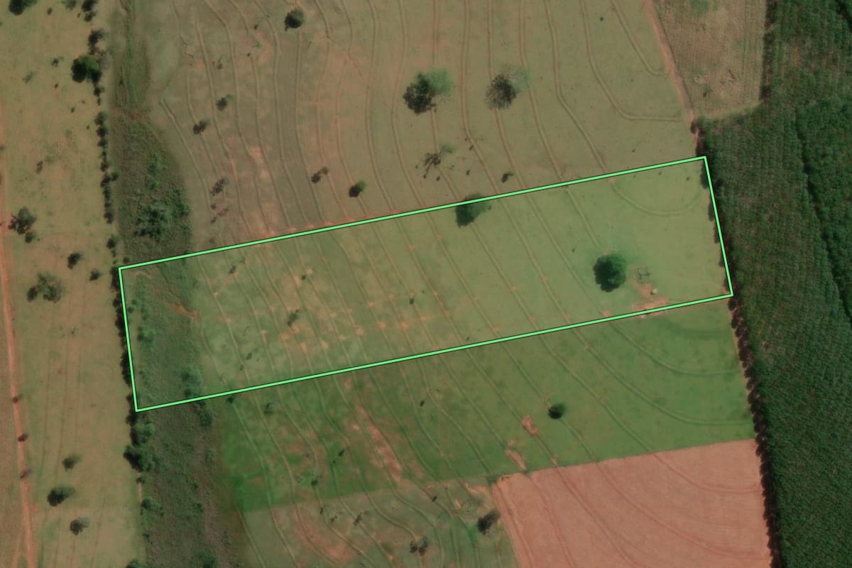 Imagem de satélite do imóvel rural em Américo de Campos (SP), com o contorno declarado no CAR desenhado por cima.