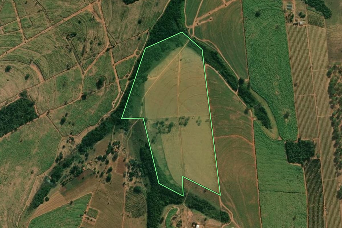 Imagem de satélite do imóvel rural em Américo de Campos (SP), com o contorno declarado no CAR desenhado por cima.