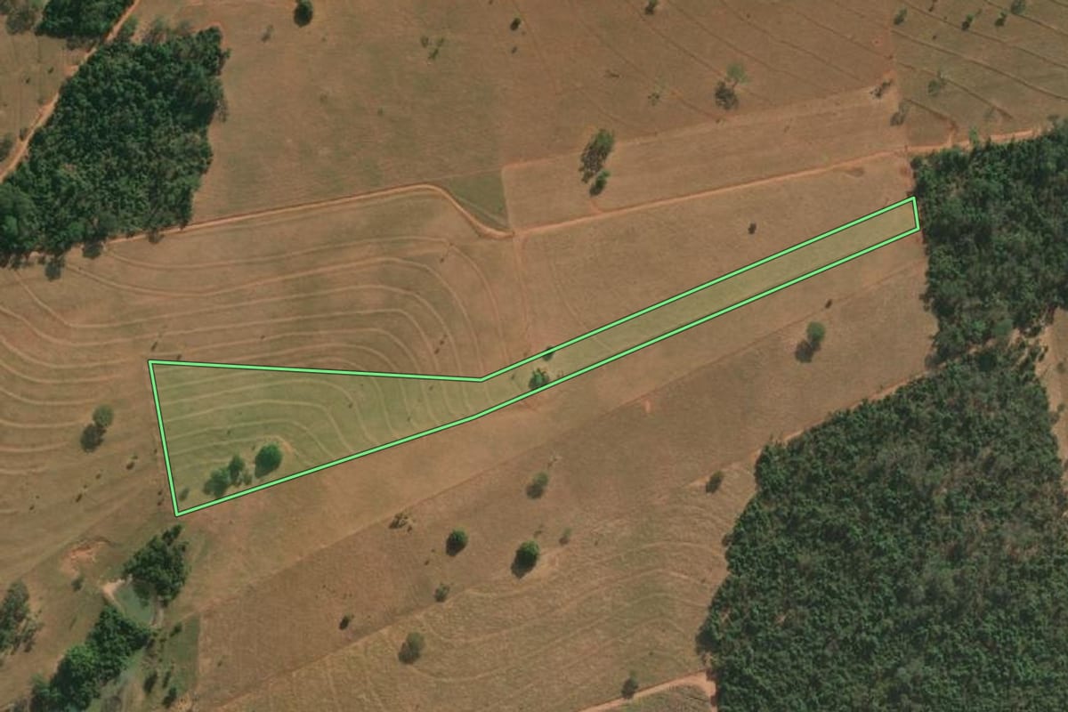 Imagem de satélite do imóvel rural em Américo de Campos (SP), com o contorno declarado no CAR desenhado por cima.