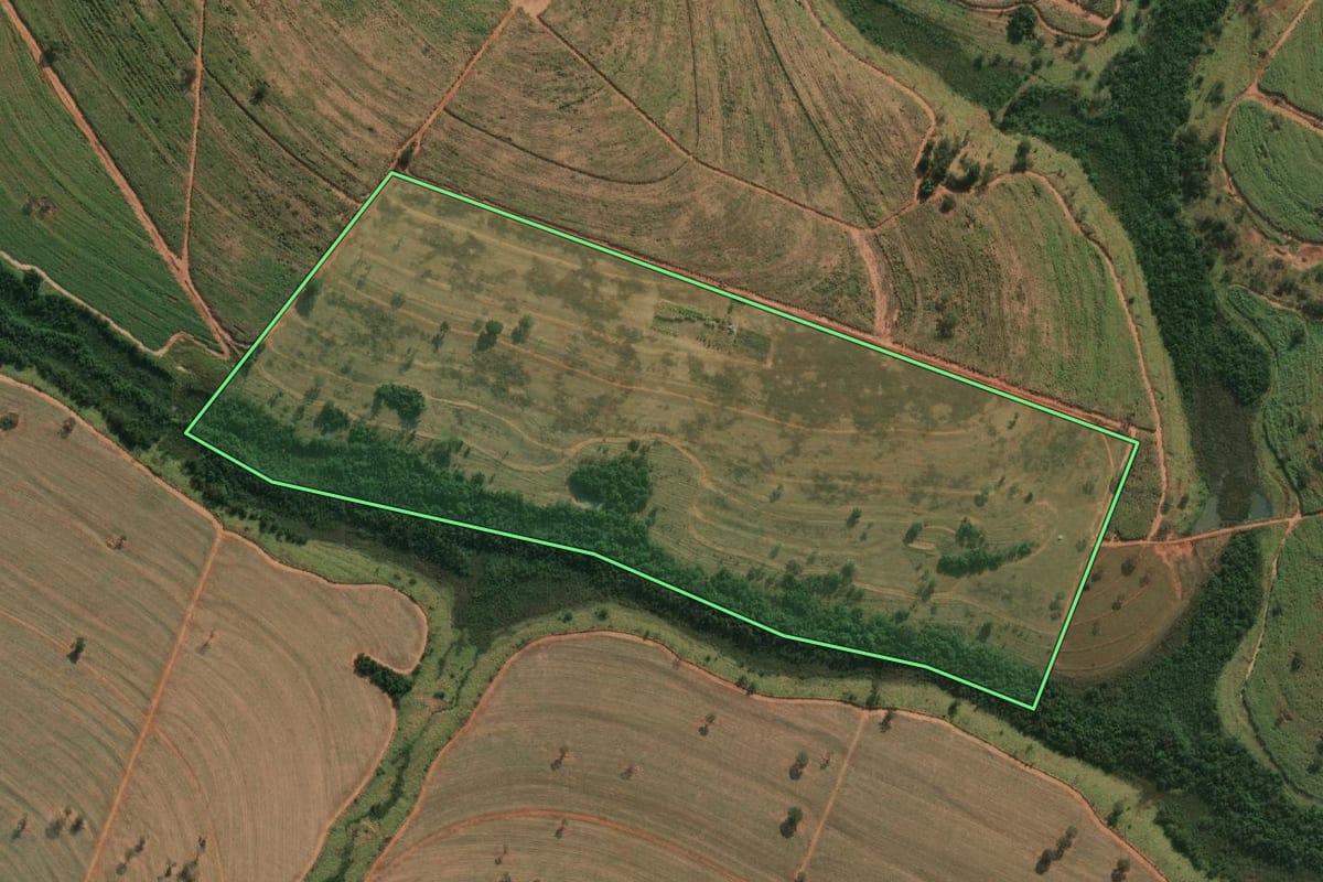 Imagem de satélite do imóvel rural em Américo de Campos (SP), com o contorno declarado no CAR desenhado por cima.
