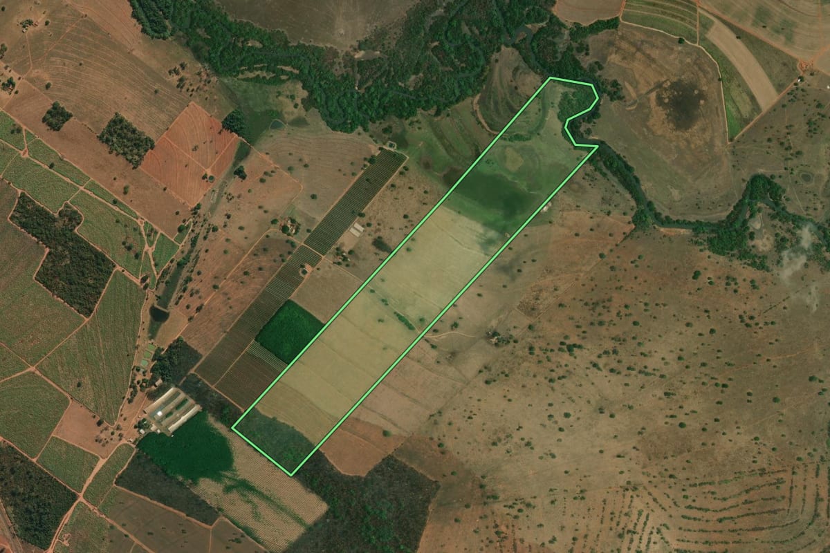 Imagem de satélite do imóvel rural em Américo de Campos (SP), com o contorno declarado no CAR desenhado por cima.