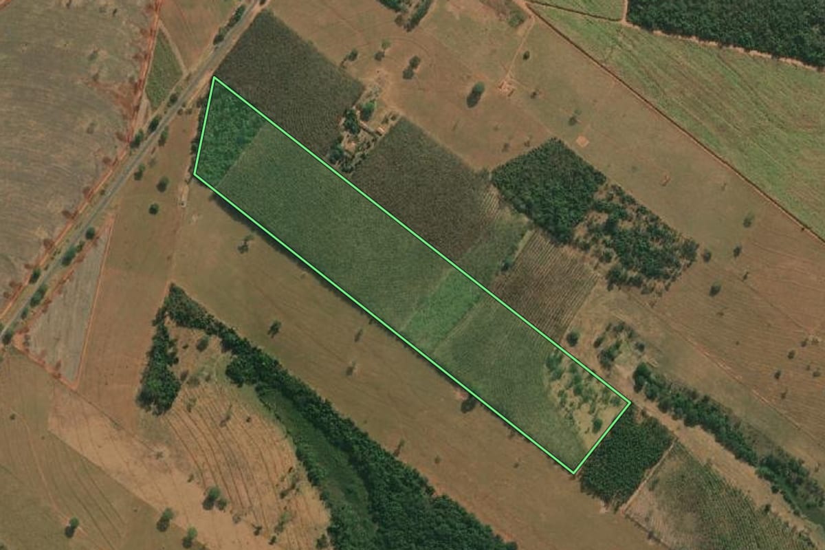 Imagem de satélite do imóvel rural em Américo de Campos (SP), com o contorno declarado no CAR desenhado por cima.