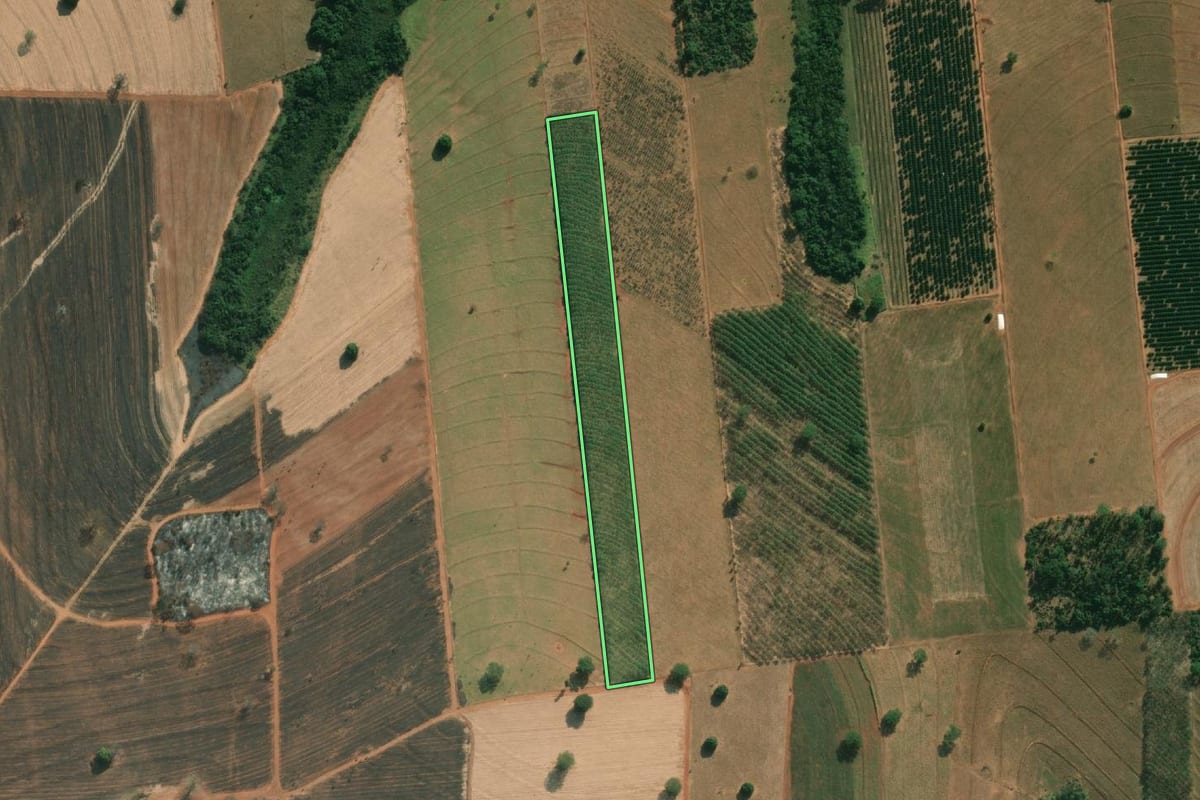Imagem de satélite do imóvel rural em Américo de Campos (SP), com o contorno declarado no CAR desenhado por cima.