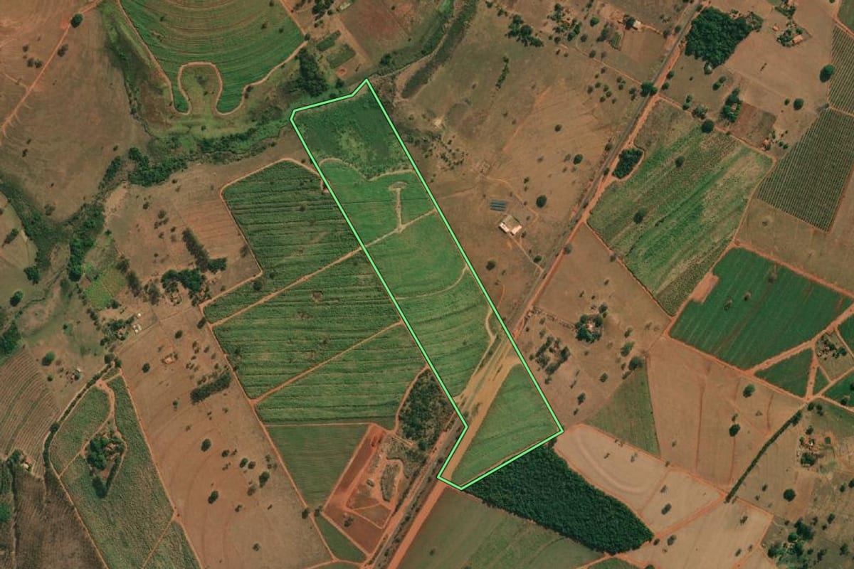 Imagem de satélite do imóvel rural em Américo de Campos (SP), com o contorno declarado no CAR desenhado por cima.