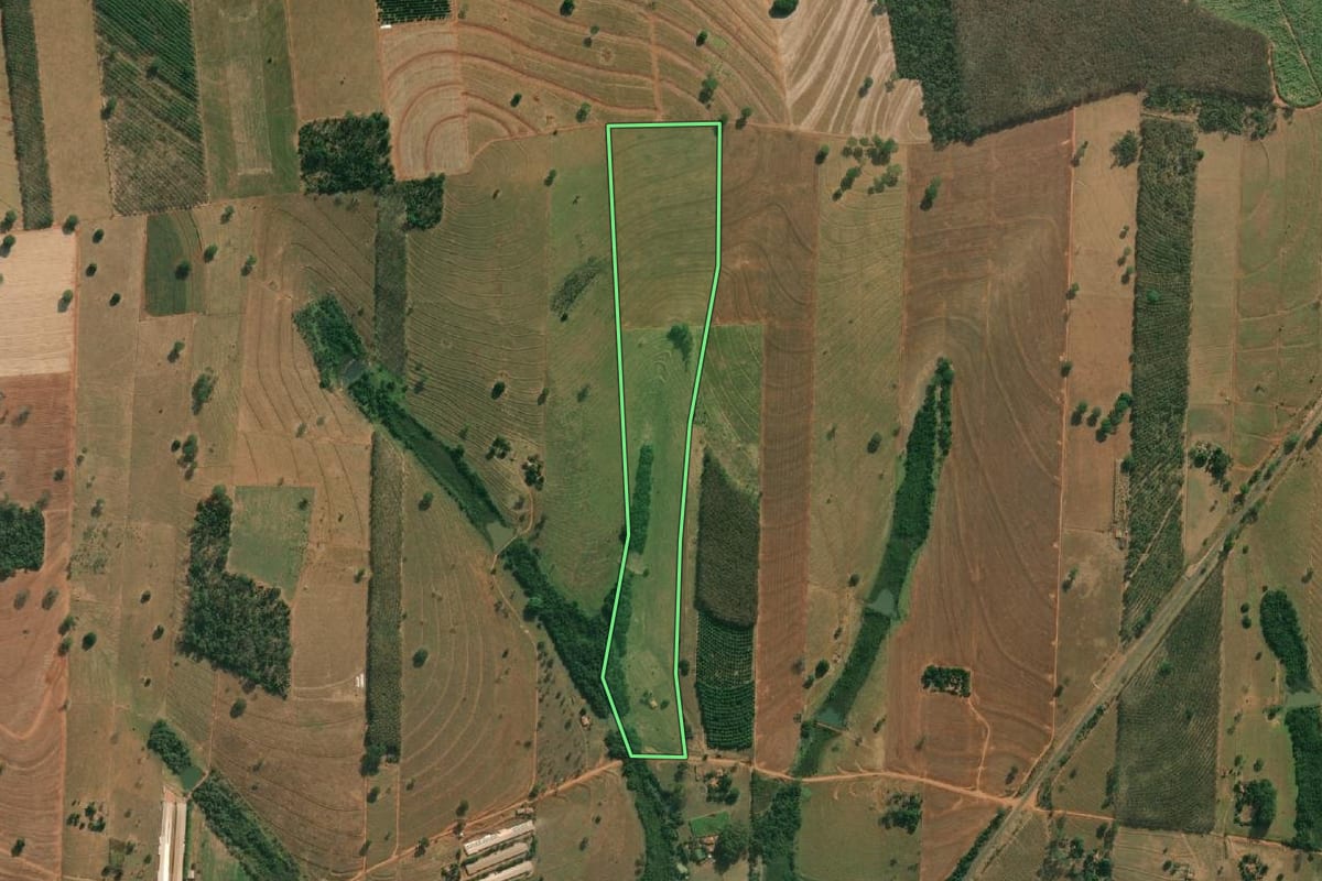 Imagem de satélite do imóvel rural em Américo de Campos (SP), com o contorno declarado no CAR desenhado por cima.