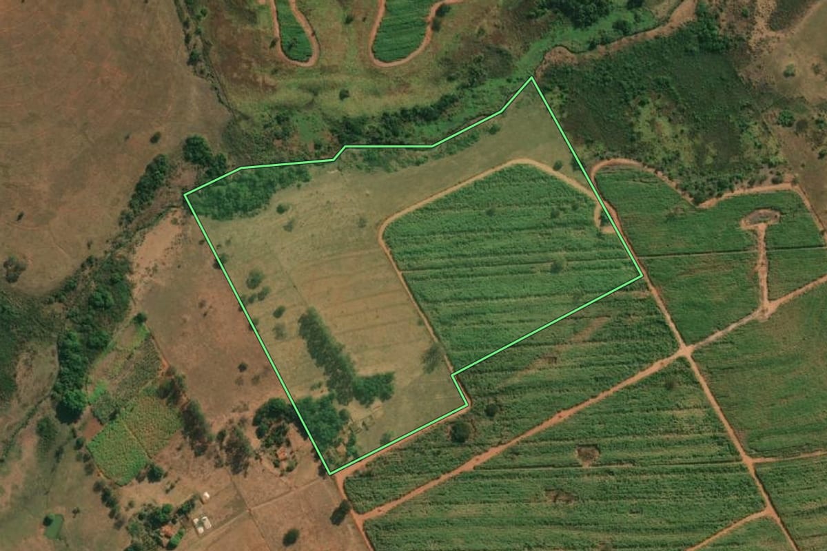 Imagem de satélite do imóvel rural em Américo de Campos (SP), com o contorno declarado no CAR desenhado por cima.