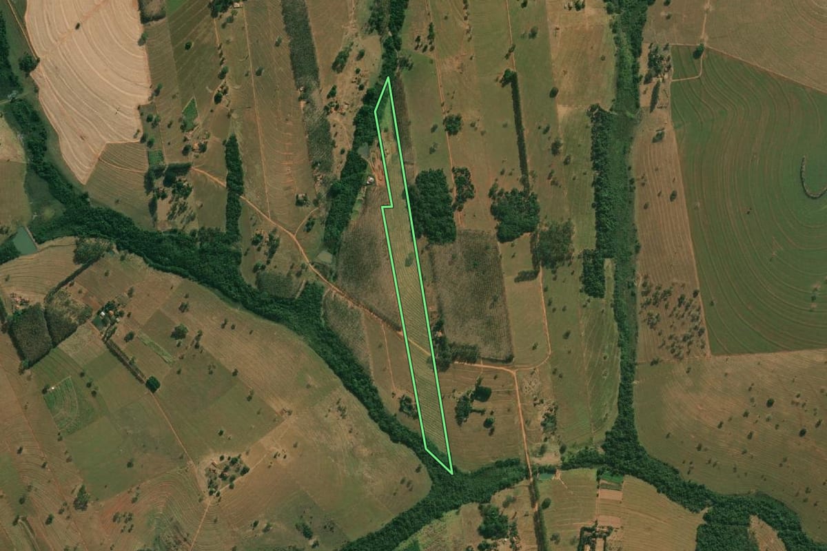 Imagem de satélite do imóvel rural em Américo de Campos (SP), com o contorno declarado no CAR desenhado por cima.