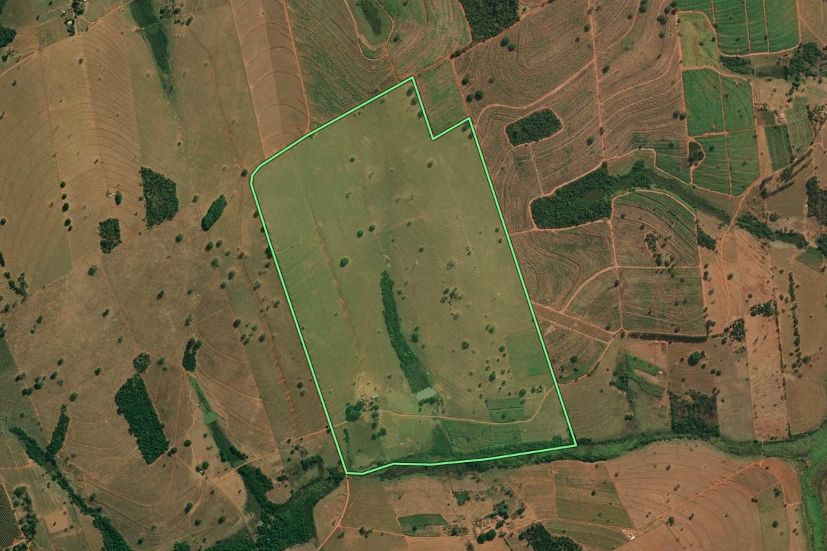 Imagem de satélite do imóvel rural em Américo de Campos (SP), com o contorno declarado no CAR desenhado por cima.
