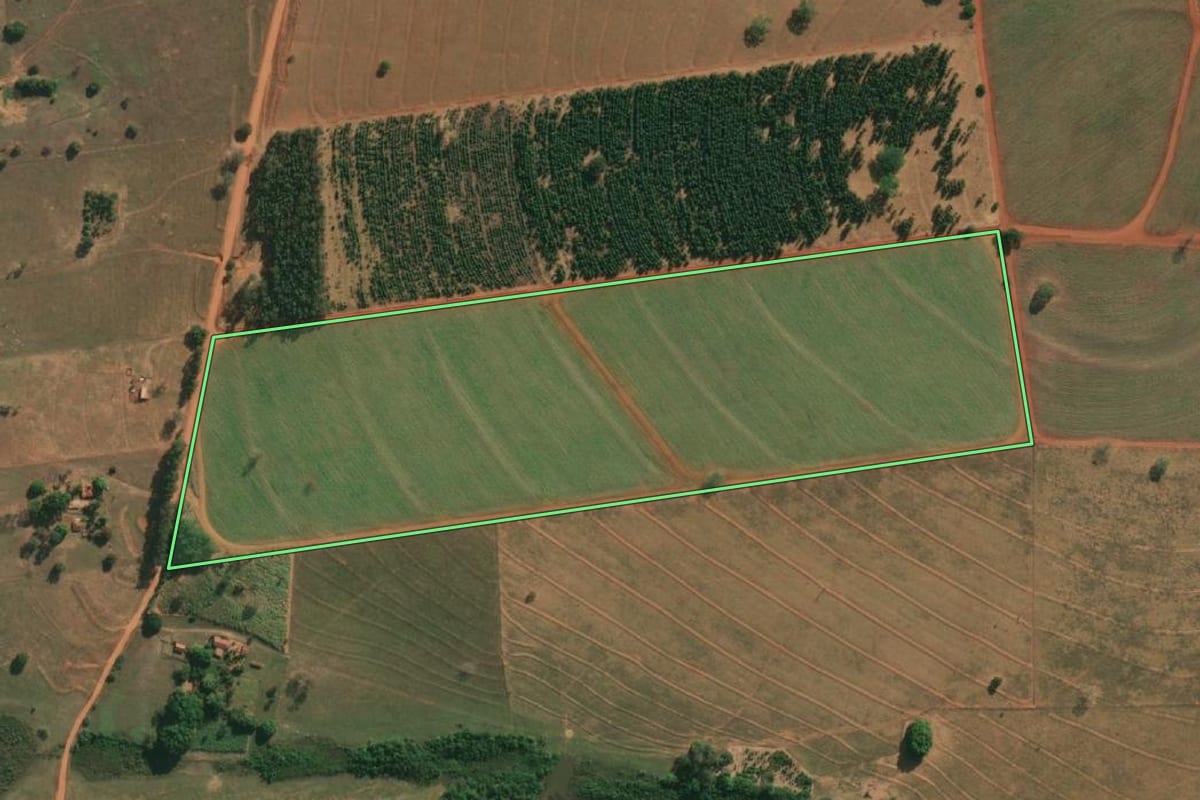 Imagem de satélite do imóvel rural em Américo de Campos (SP), com o contorno declarado no CAR desenhado por cima.