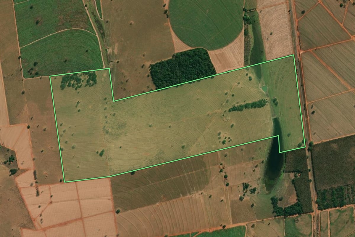 Imagem de satélite do imóvel rural em Américo de Campos (SP), com o contorno declarado no CAR desenhado por cima.
