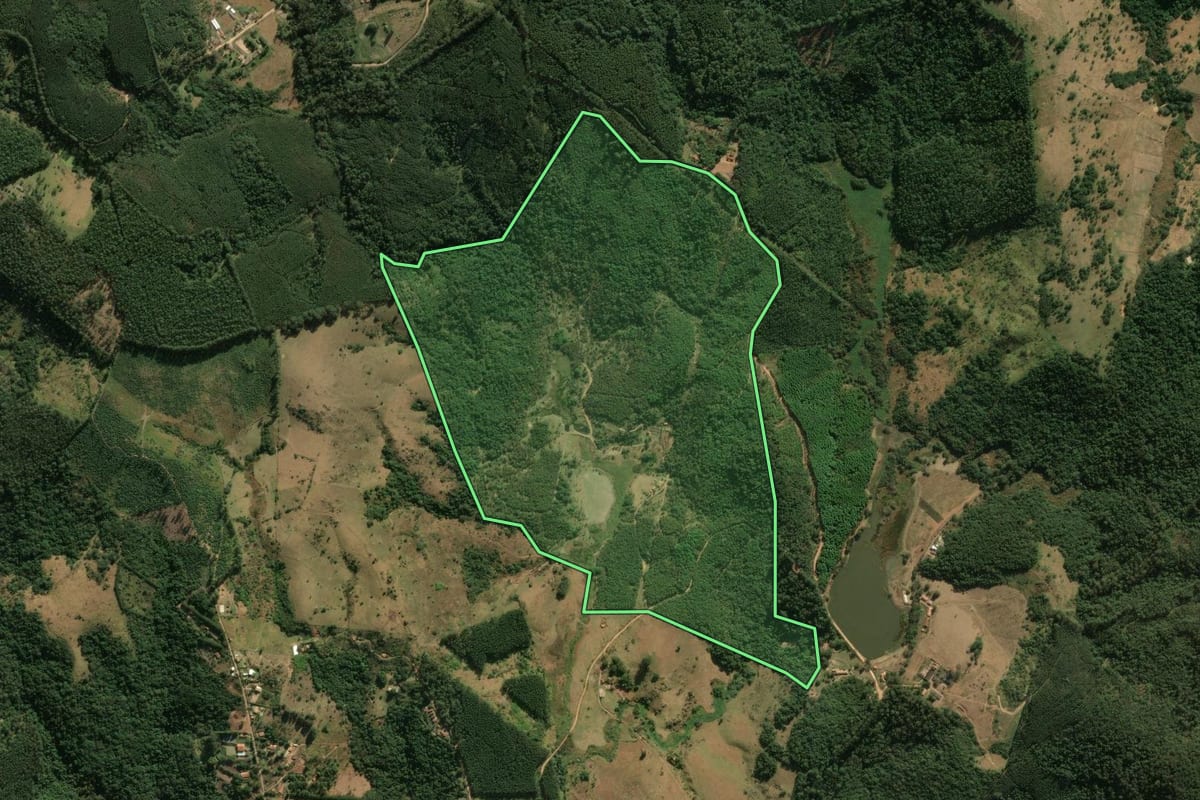 Imagem de satélite do imóvel rural em Amparo (SP), com o contorno declarado no CAR desenhado por cima.