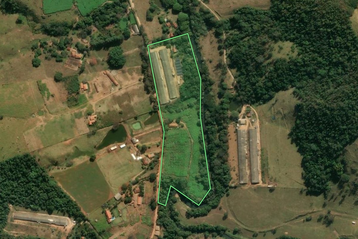 Imagem de satélite do imóvel rural em Amparo (SP), com o contorno declarado no CAR desenhado por cima.