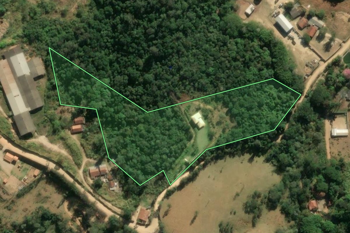 Imagem de satélite do imóvel rural em Amparo (SP), com o contorno declarado no CAR desenhado por cima.