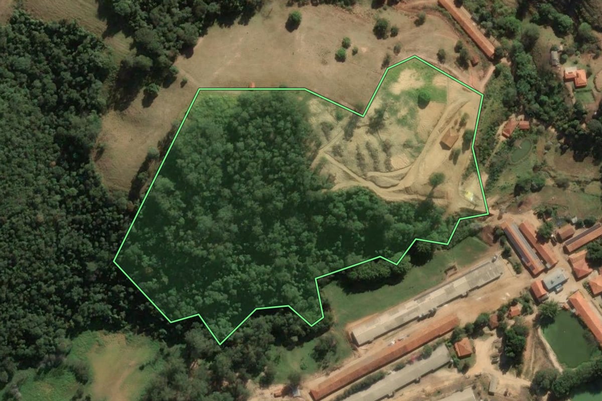 Imagem de satélite do imóvel rural em Amparo (SP), com o contorno declarado no CAR desenhado por cima.
