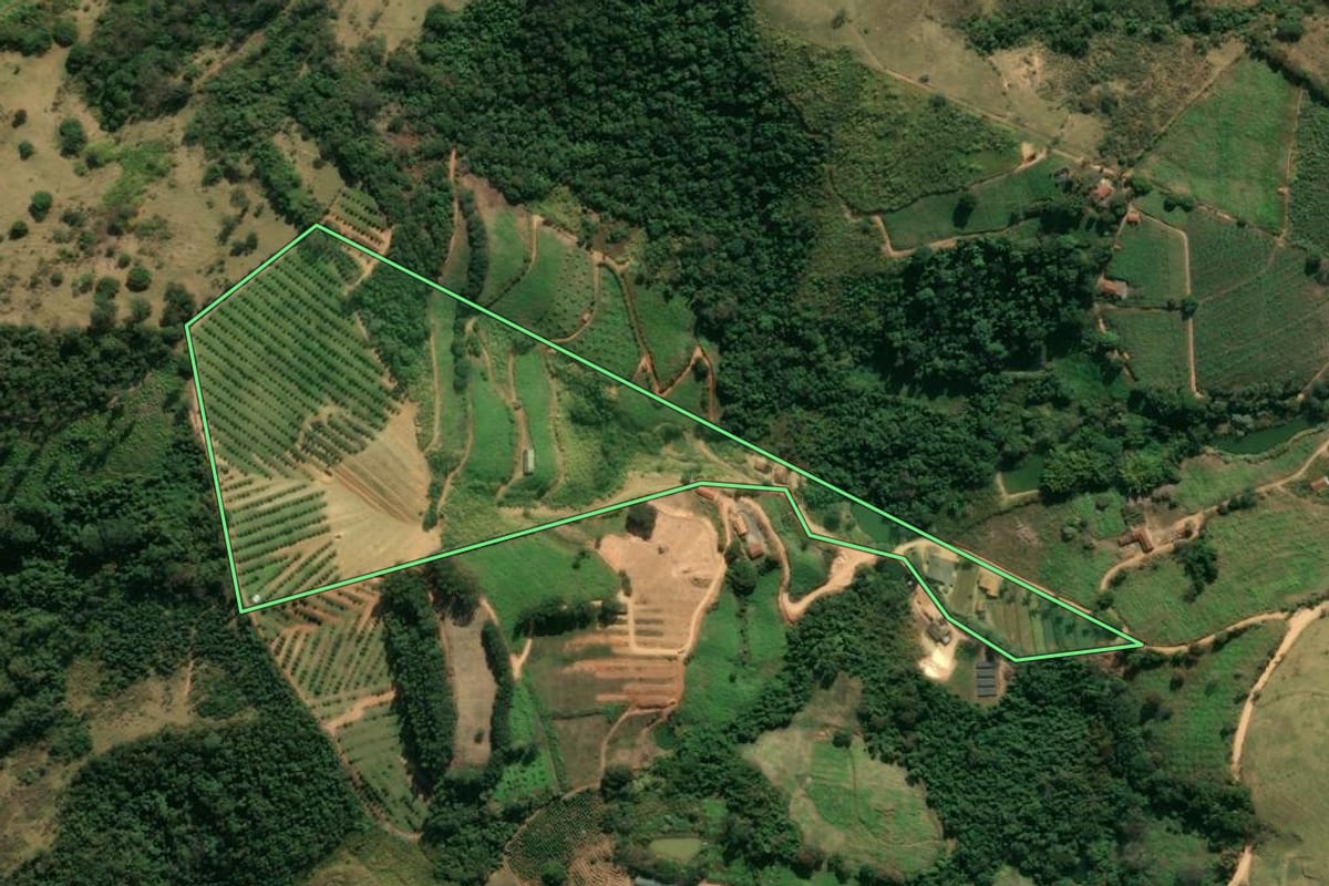 Imagem de satélite do imóvel rural em Amparo (SP), com o contorno declarado no CAR desenhado por cima.