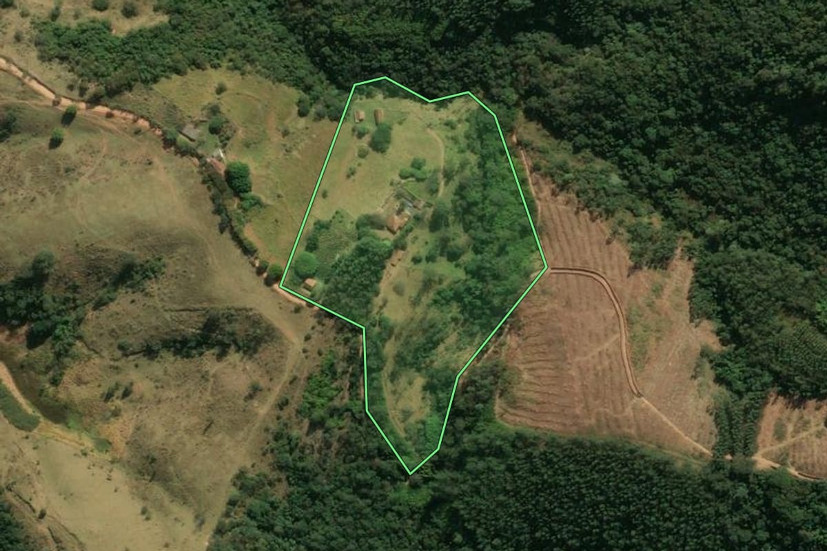 Imagem de satélite do imóvel rural em Amparo (SP), com o contorno declarado no CAR desenhado por cima.