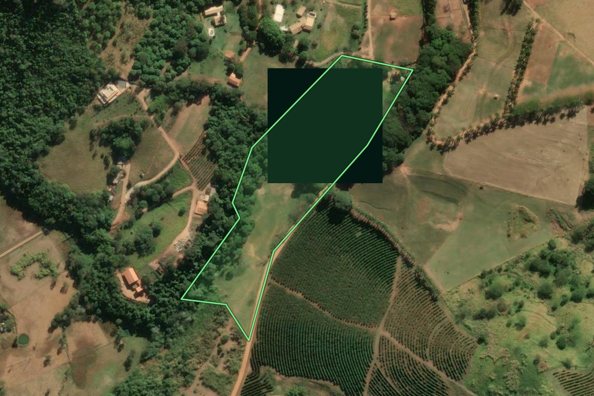 Imagem de satélite do imóvel rural em Amparo (SP), com o contorno declarado no CAR desenhado por cima.