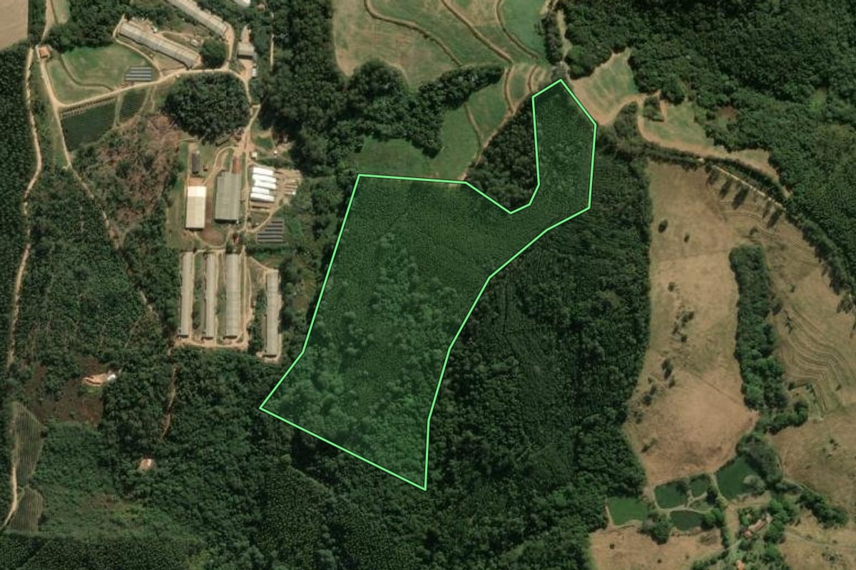Imagem de satélite do imóvel rural em Amparo (SP), com o contorno declarado no CAR desenhado por cima.