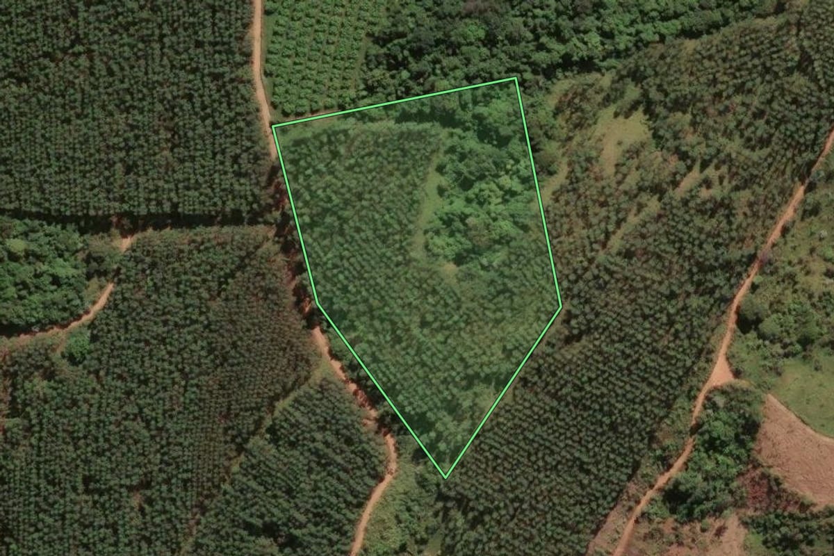 Imagem de satélite do imóvel rural em Amparo (SP), com o contorno declarado no CAR desenhado por cima.