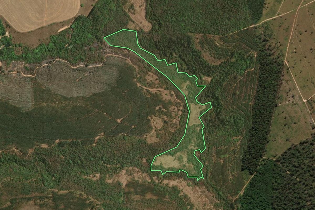 Imagem de satélite do imóvel rural em Analândia (SP), com o contorno declarado no CAR desenhado por cima.