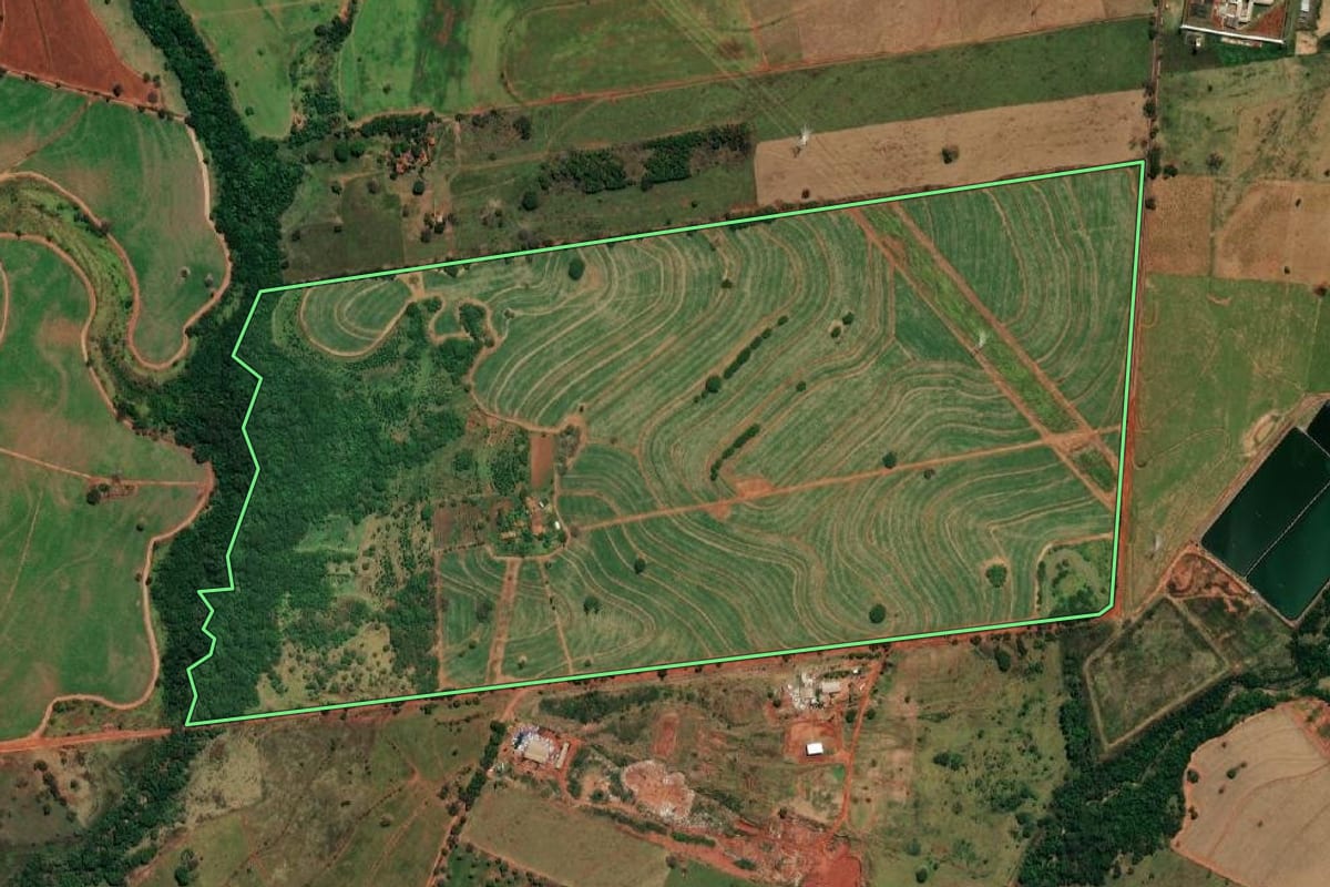 Imagem de satélite do imóvel rural em Andradina (SP), com o contorno declarado no CAR desenhado por cima.