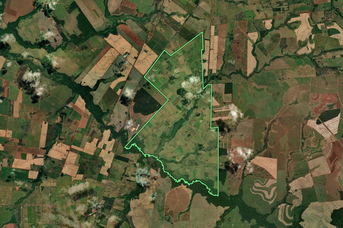 Imagem de satélite do imóvel rural em Andradina (SP), com o contorno declarado no CAR desenhado por cima.