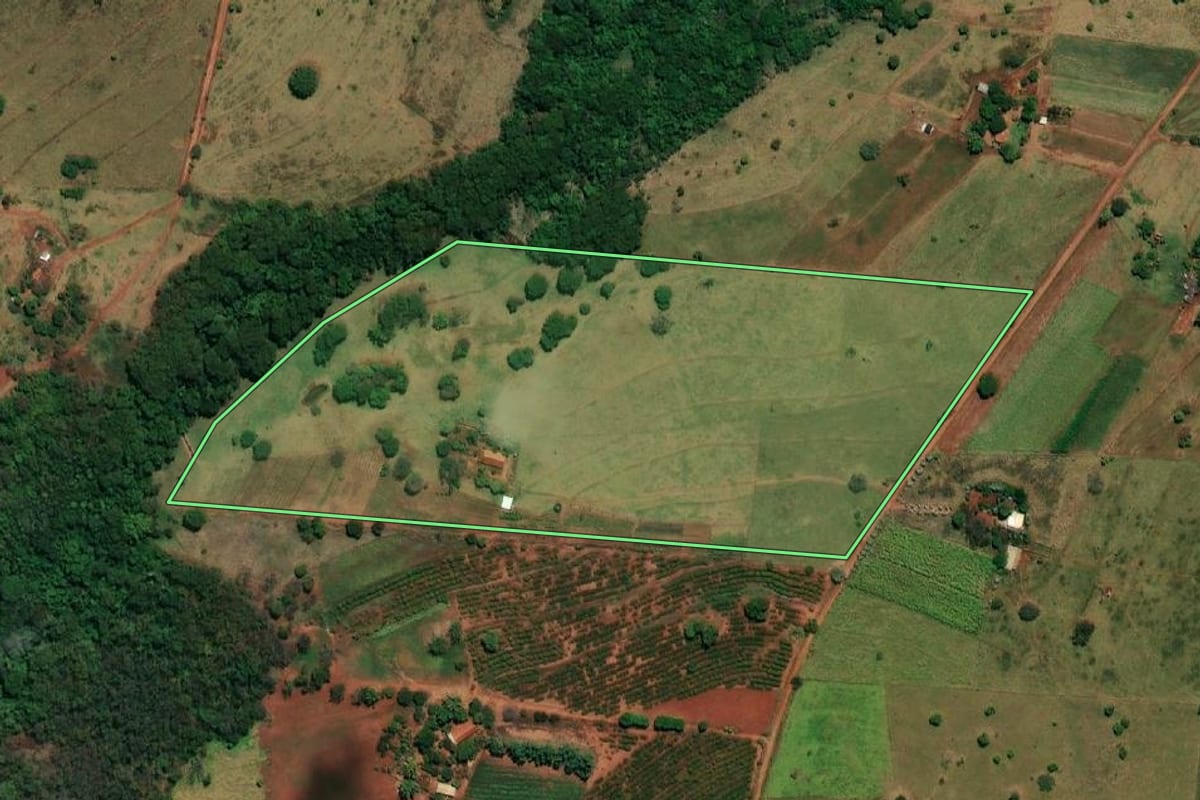 Imagem de satélite do imóvel rural em Andradina (SP), com o contorno declarado no CAR desenhado por cima.