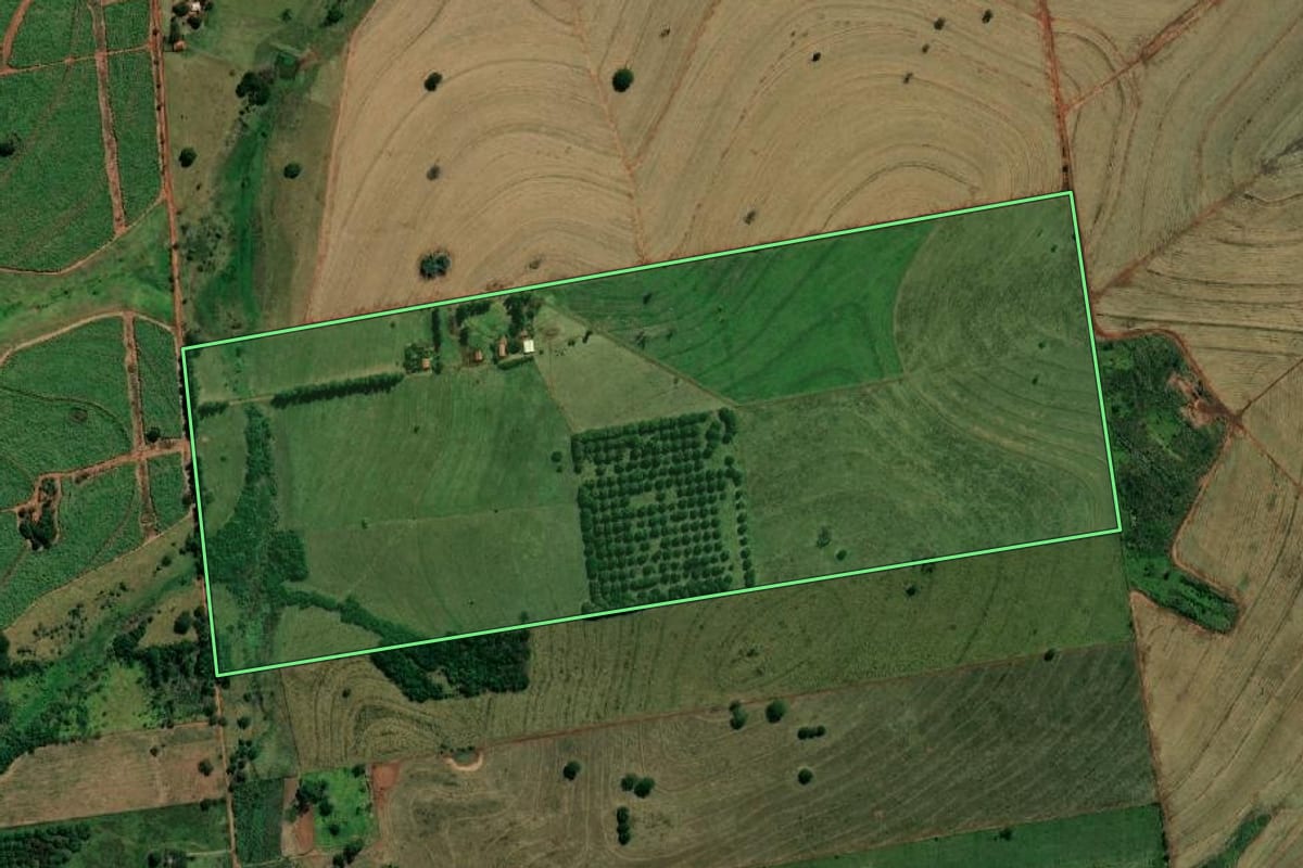 Imagem de satélite do imóvel rural em Andradina (SP), com o contorno declarado no CAR desenhado por cima.