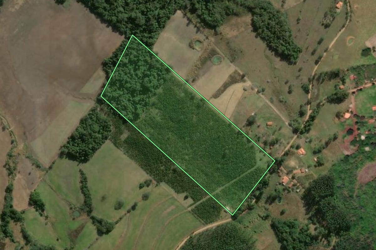 Imagem de satélite do imóvel rural em Angatuba (SP), com o contorno declarado no CAR desenhado por cima.