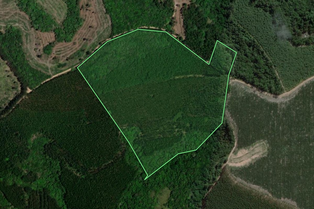 Imagem de satélite do imóvel rural em Angatuba (SP), com o contorno declarado no CAR desenhado por cima.