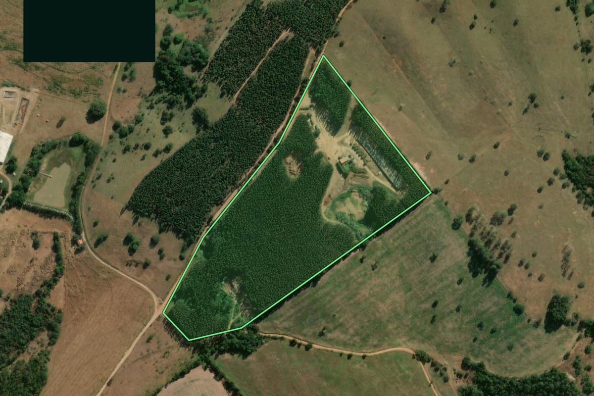 Imagem de satélite do imóvel rural em Angatuba (SP), com o contorno declarado no CAR desenhado por cima.