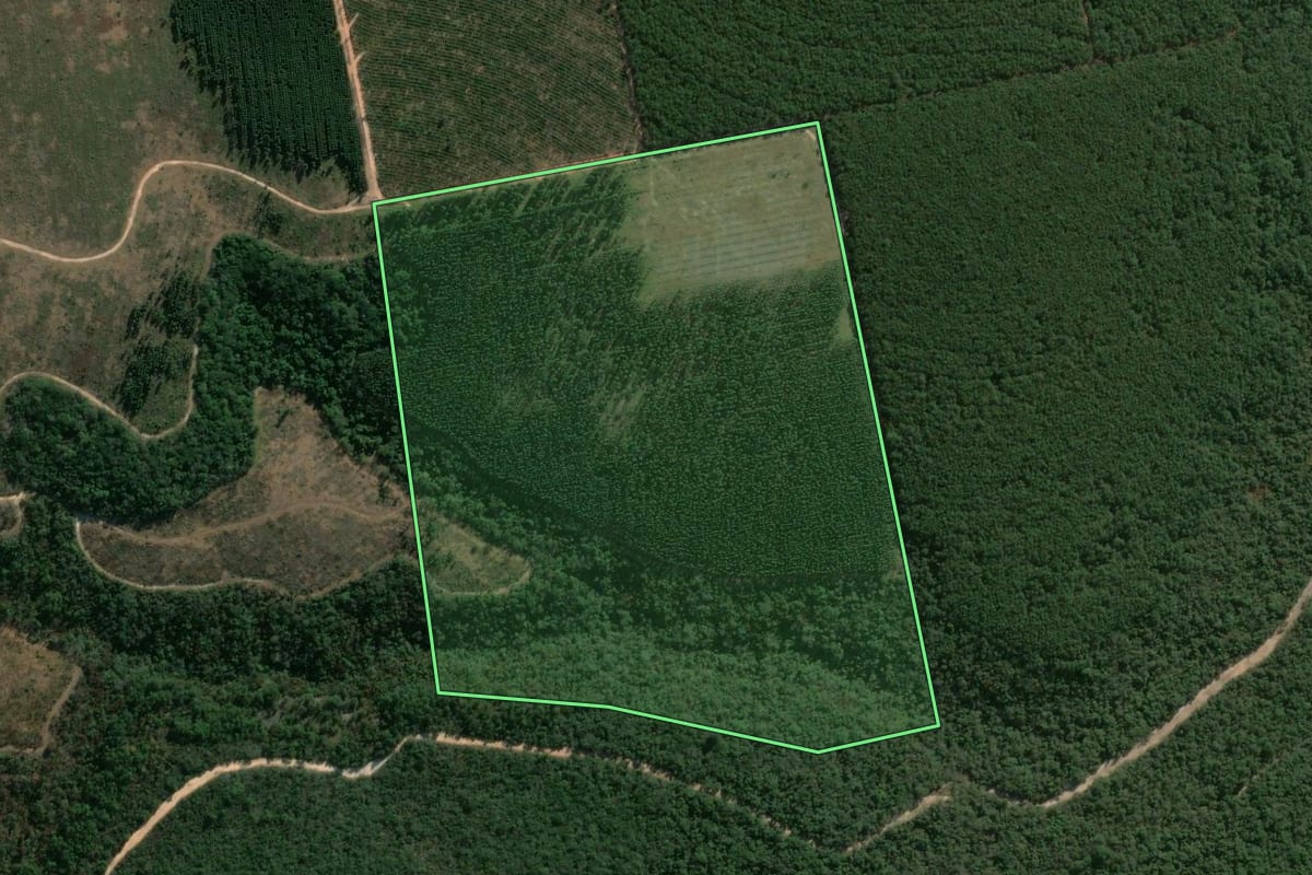 Imagem de satélite do imóvel rural em Angatuba (SP), com o contorno declarado no CAR desenhado por cima.