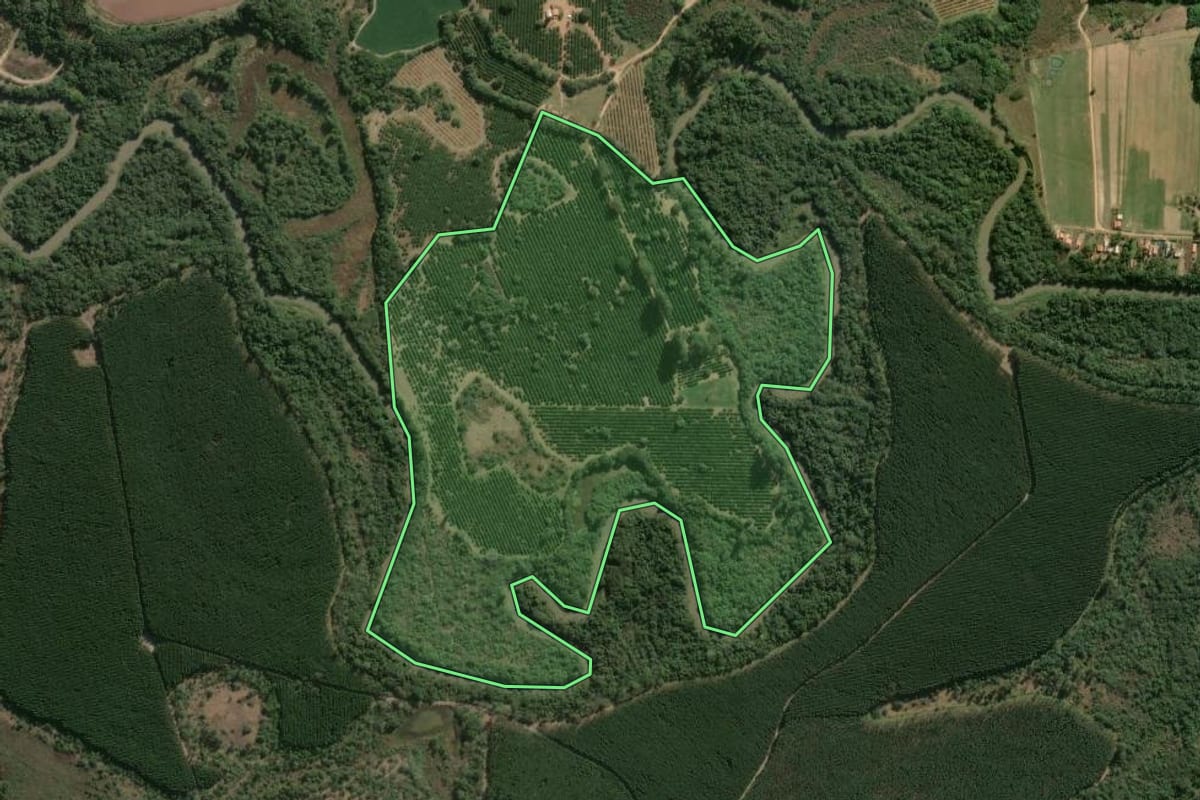 Imagem de satélite do imóvel rural em Angatuba (SP), com o contorno declarado no CAR desenhado por cima.
