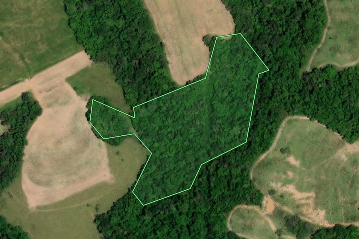 Imagem de satélite do imóvel rural em Angatuba (SP), com o contorno declarado no CAR desenhado por cima.