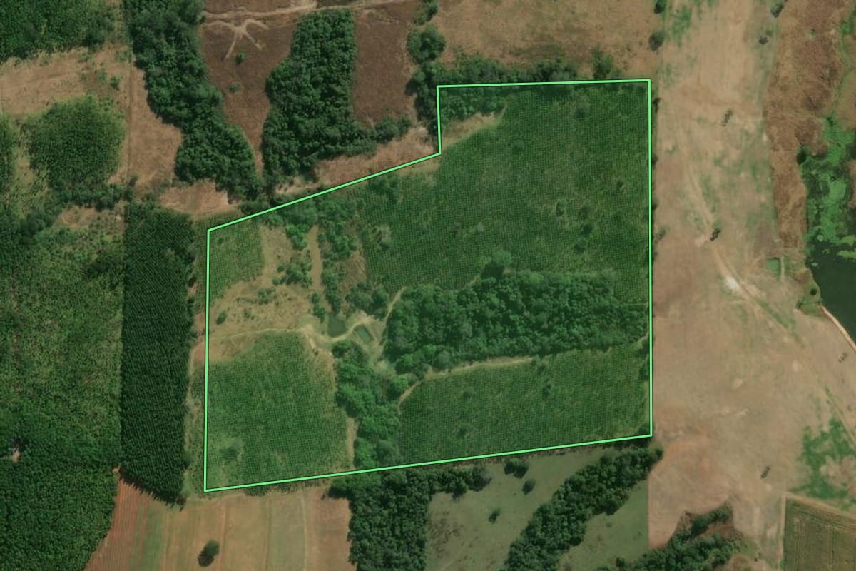Imagem de satélite do imóvel rural em Angatuba (SP), com o contorno declarado no CAR desenhado por cima.