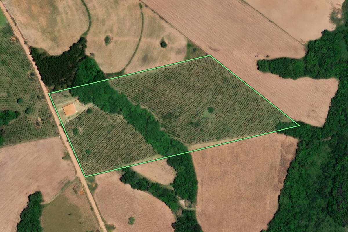Imagem de satélite do imóvel rural em Angatuba (SP), com o contorno declarado no CAR desenhado por cima.