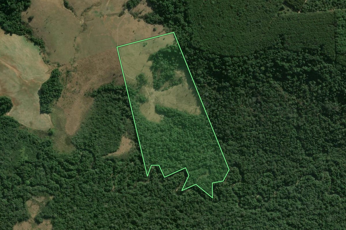 Imagem de satélite do imóvel rural em Angatuba (SP), com o contorno declarado no CAR desenhado por cima.
