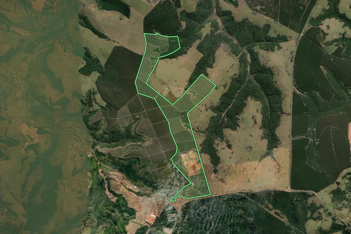 Imagem de satélite do imóvel rural em Anhembi (SP), com o contorno declarado no CAR desenhado por cima.