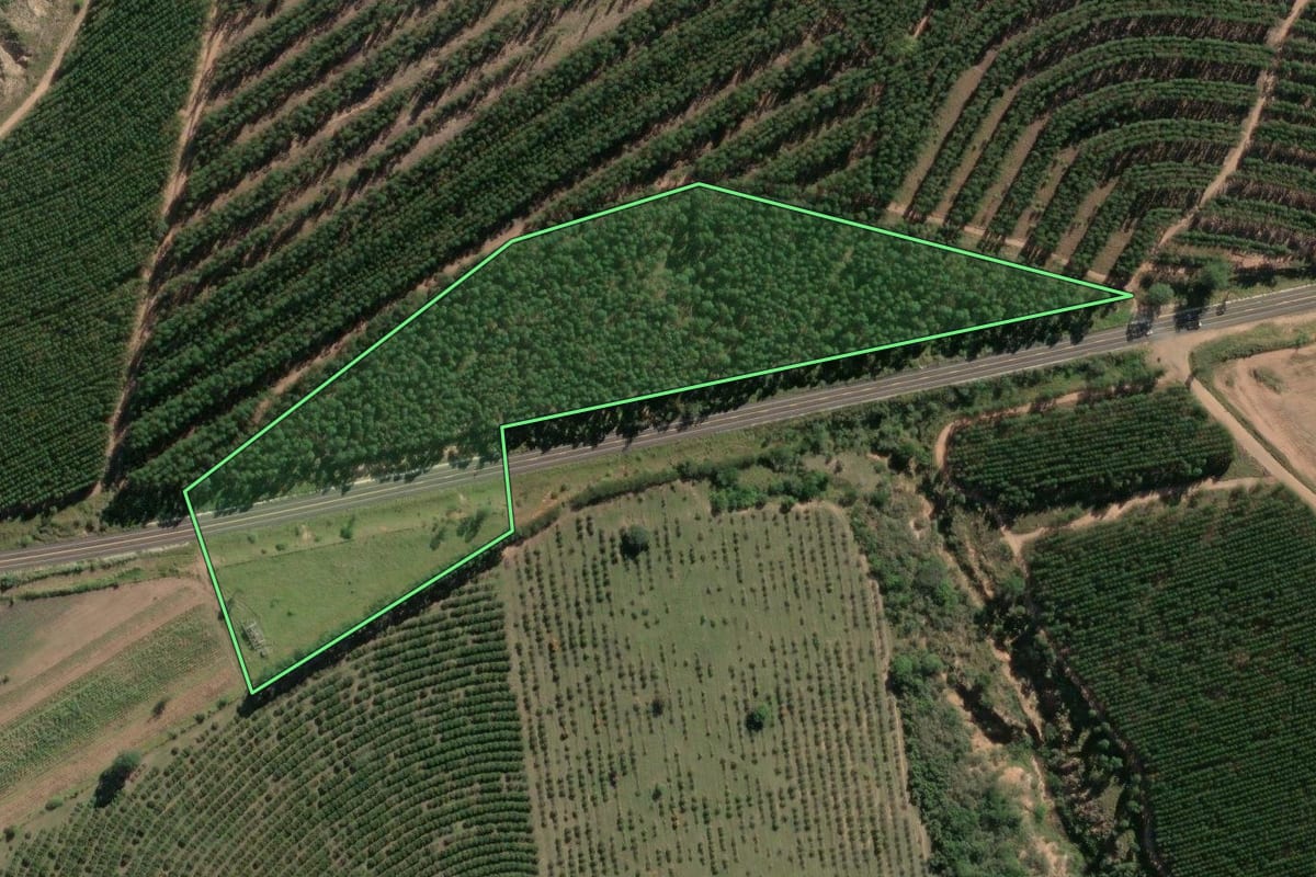 Imagem de satélite do imóvel rural em Anhembi (SP), com o contorno declarado no CAR desenhado por cima.