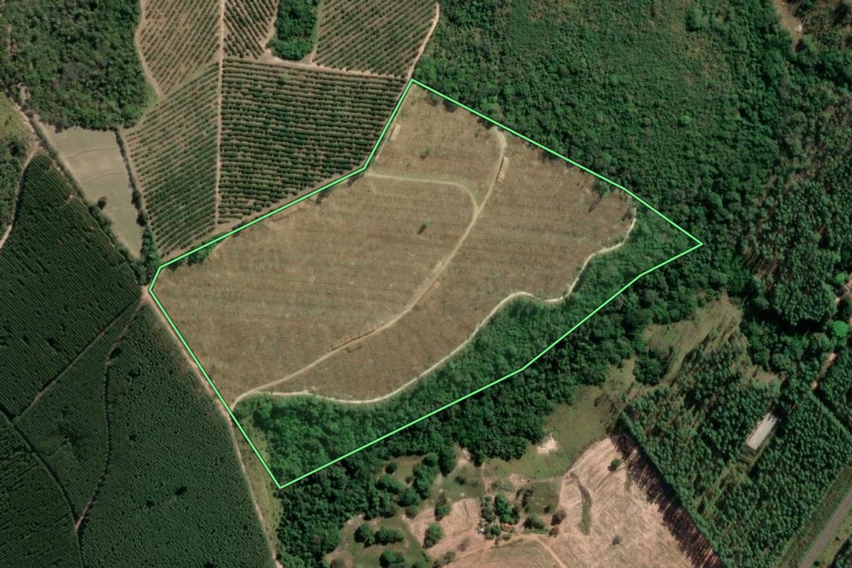 Imagem de satélite do imóvel rural em Anhembi (SP), com o contorno declarado no CAR desenhado por cima.