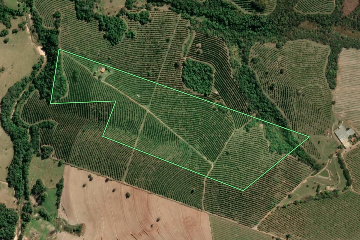 Imagem de satélite do imóvel rural em Anhembi (SP), com o contorno declarado no CAR desenhado por cima.