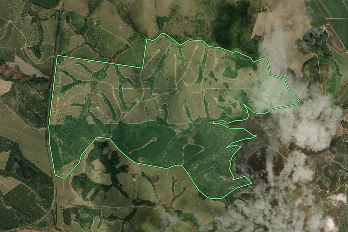 Imagem de satélite do imóvel rural em Anhembi (SP), com o contorno declarado no CAR desenhado por cima.