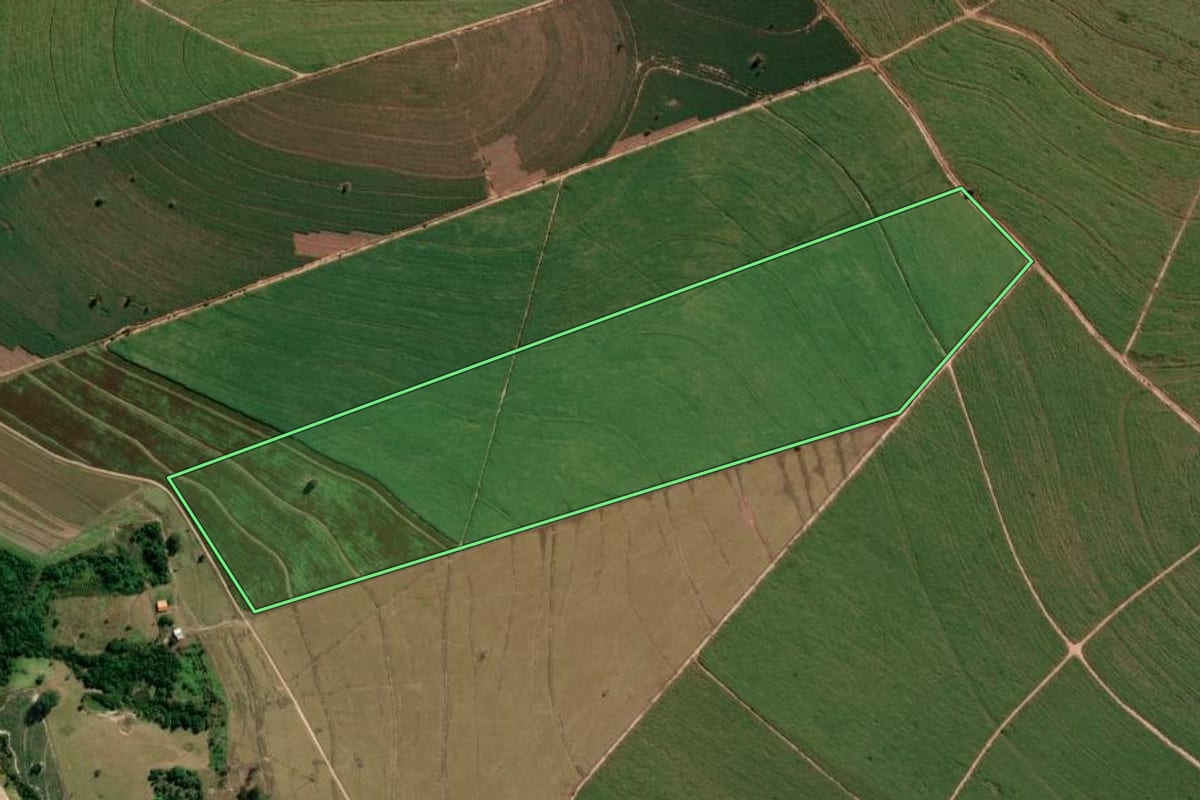 Imagem de satélite do imóvel rural em Anhembi (SP), com o contorno declarado no CAR desenhado por cima.