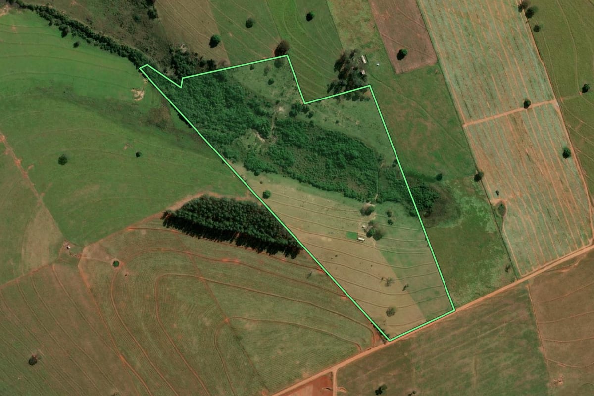 Imagem de satélite do imóvel rural em Anhumas (SP), com o contorno declarado no CAR desenhado por cima.