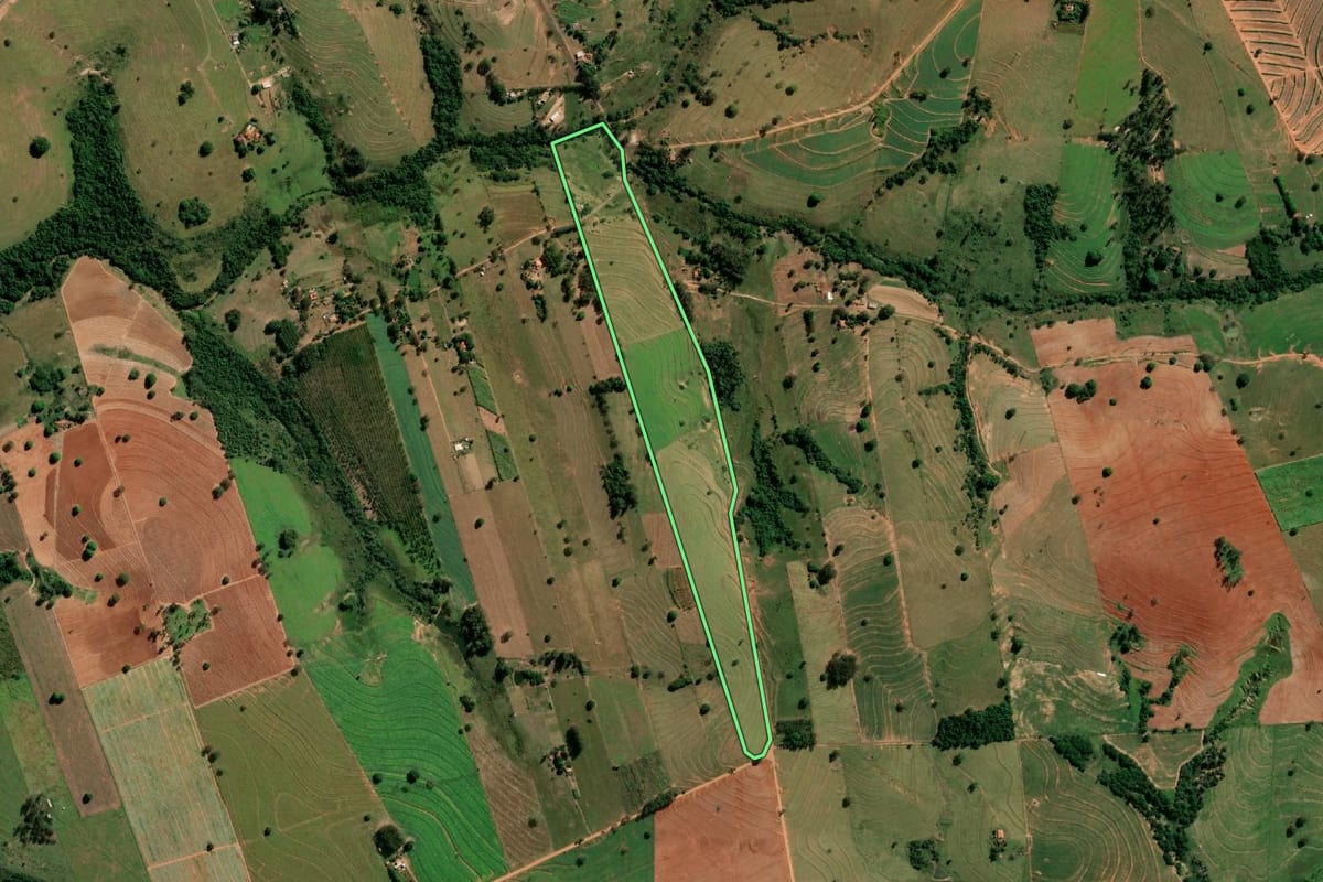 Imagem de satélite do imóvel rural em Anhumas (SP), com o contorno declarado no CAR desenhado por cima.