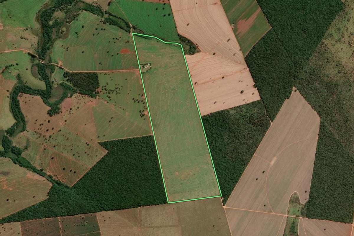 Imagem de satélite do imóvel rural em Anhumas (SP), com o contorno declarado no CAR desenhado por cima.