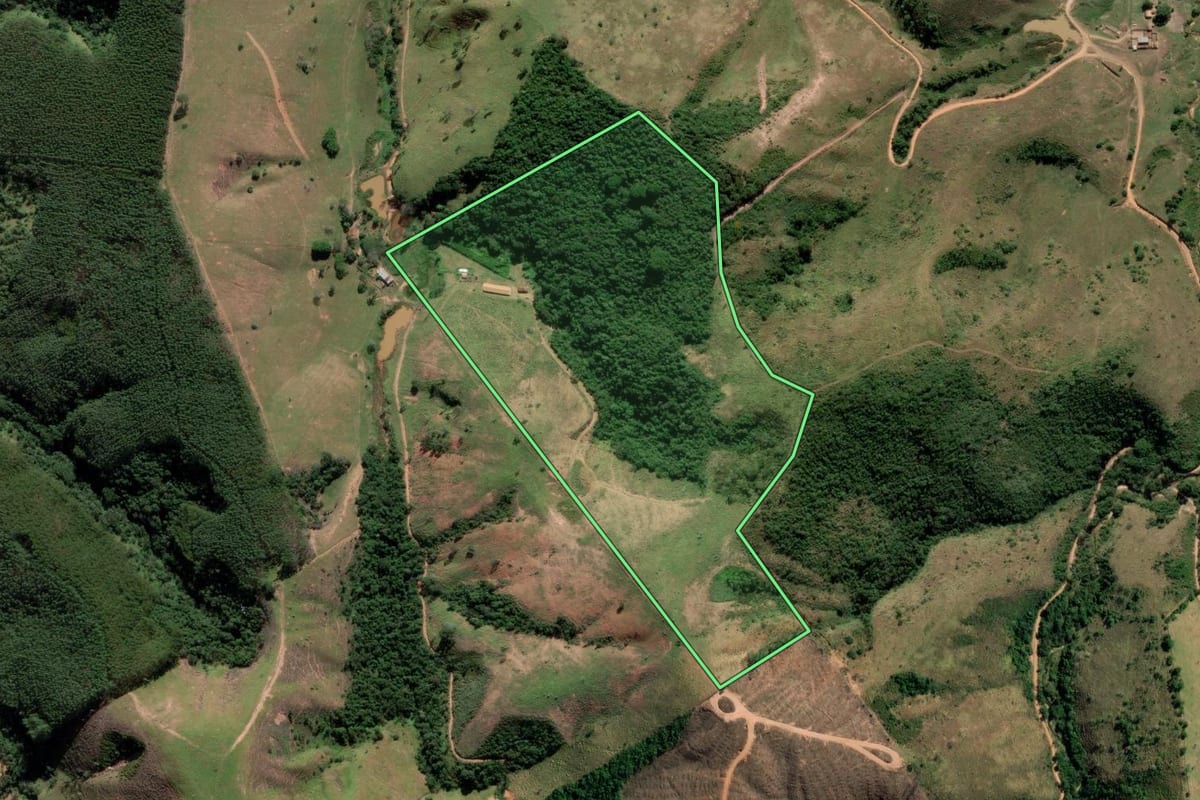 Imagem de satélite do imóvel rural em Aparecida (SP), com o contorno declarado no CAR desenhado por cima.